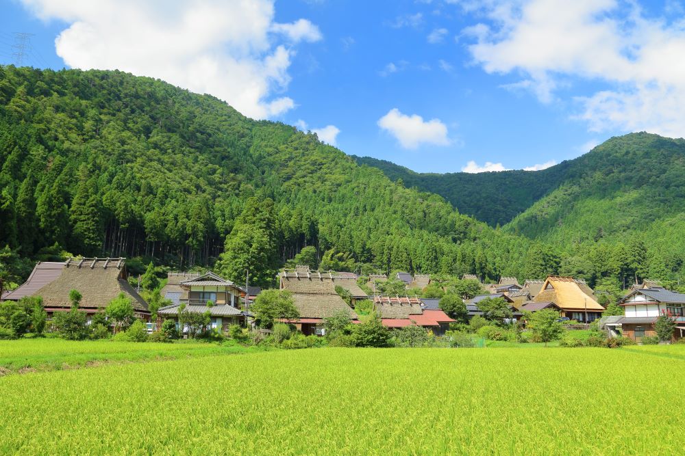 田舎の土地を売りたい！売り方のコツと売れないときの対処法