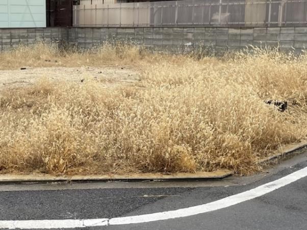 相続放棄せずに土地を手放す方法